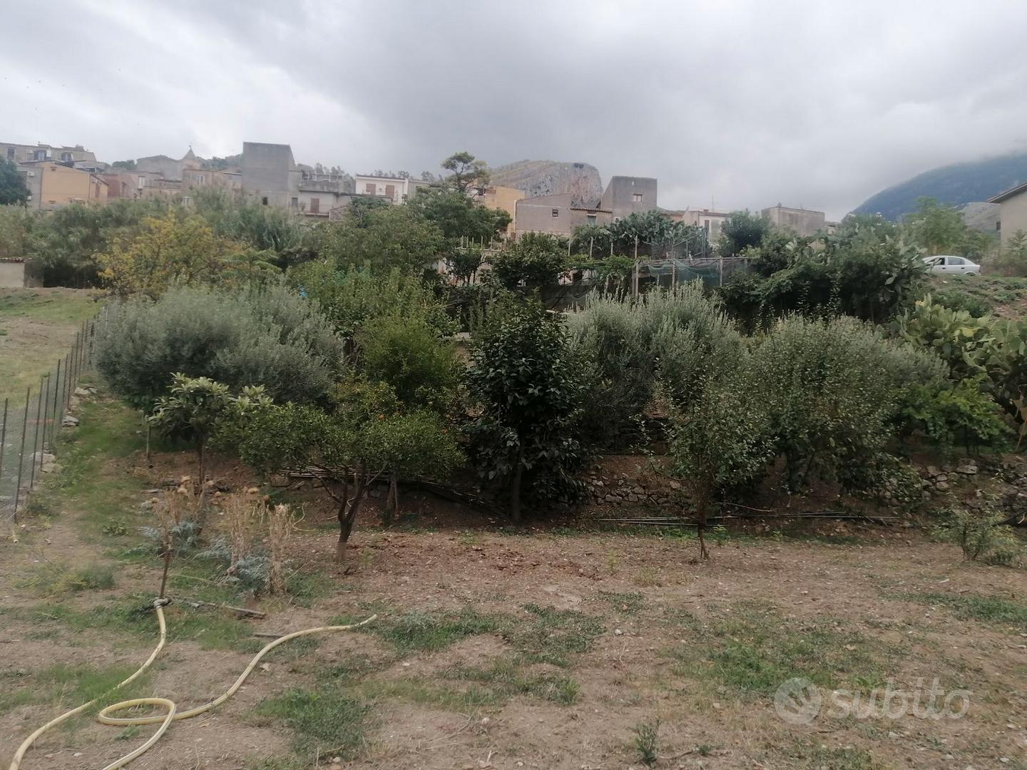 terreno con rustico - Vista 4