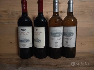 Svendita cantina privata – Ornellaia
