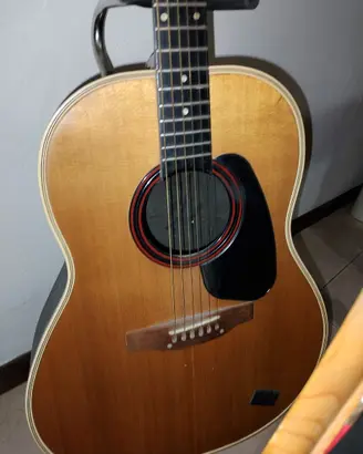 Chitarra tipo ovation aplause
