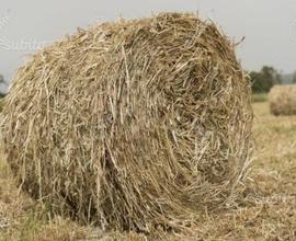 Azienda Agricola Ovest Milano