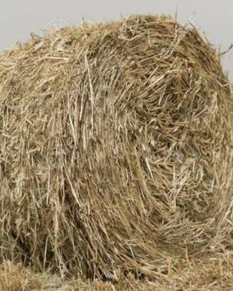 Azienda Agricola Ovest Milano