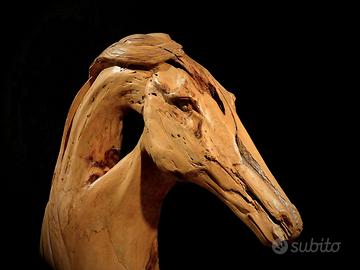 Scultura testa di cavallo