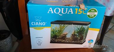 acquario 