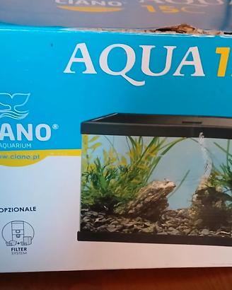 acquario 