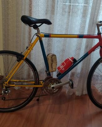 MTB Hazard edizione speciale vintage 