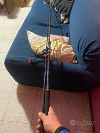 canna da pesca con mulinelo da carp fishing