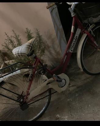 bicicletta 