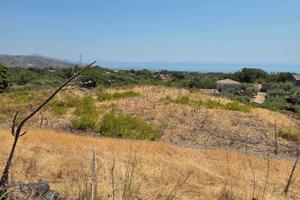 Terreno agricolo con fabbricato a Piedimonte Etneo