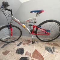 Bici Adulto