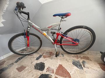 Bici Adulto