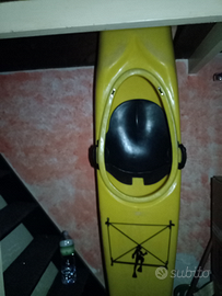 Kayak