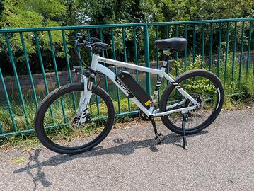 Bici elettrica 
