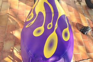 Coprisella booster mbk