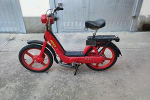 CIAO PX PIAGGIO 