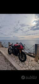 Triumph speed triple 1200 rr