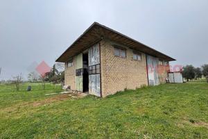 Capannone Industriale Anagni [Cod. rif 3308267VCG]