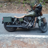 Harley Davidson 1450 carburatore