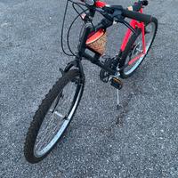 Bicicletta tipo mountain bike