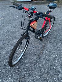 Bicicletta tipo mountain bike