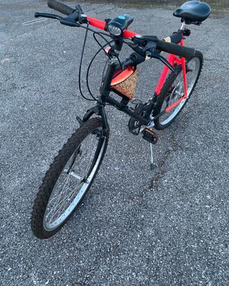 Bicicletta tipo mountain bike