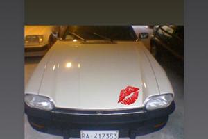 Jaguar xjs 5300 V 12 coupe del 1980