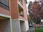 Immagine 12