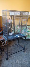 gabbia con carrello con ruote