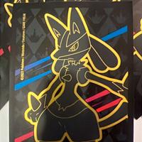 15 porta carte Pokemon