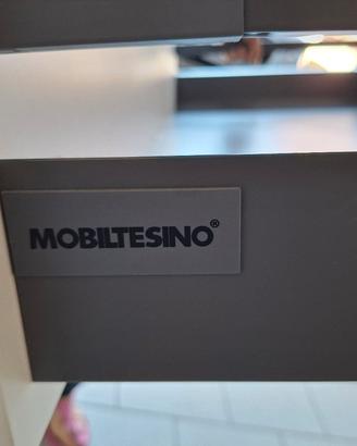 Mobile bagno Mobiltesino