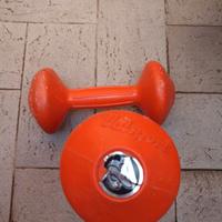 Manubri palestra Valsport 2 kg