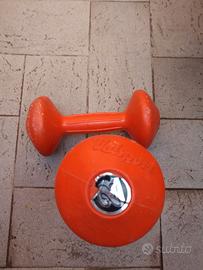 Manubri palestra Valsport 2 kg