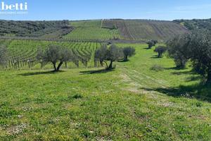 Terreno Residenziale Lanciano [v335VRG]