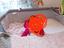 Immagine 2