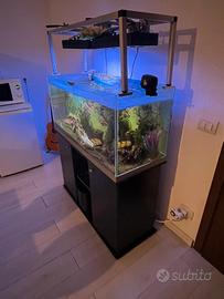 acquario 