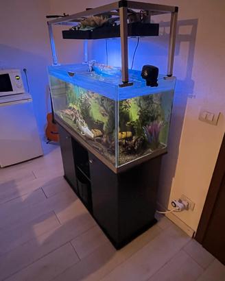 acquario 