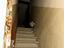 Immagine 23