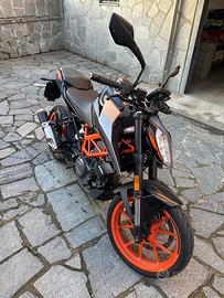 Duke 390