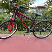 Bicicletta marca compass