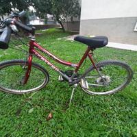 Bicicletta marca naveric usa adveture one