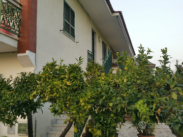 Vendita villa con due appartamenti e un mini