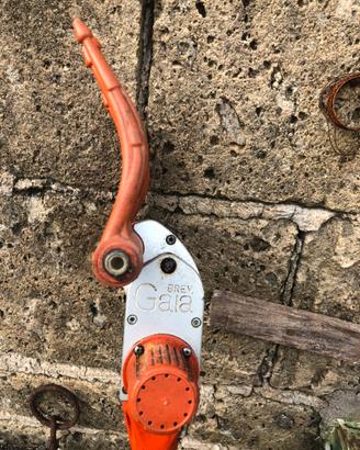 Macchinetta per olive