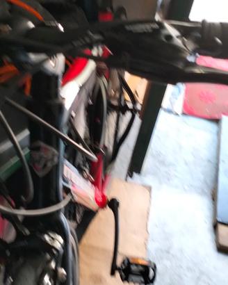 bici ibrida 