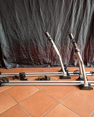 coppia portabici da tetto auto originali Thule