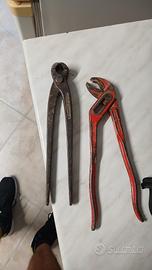 tenaglia e pappagallo 