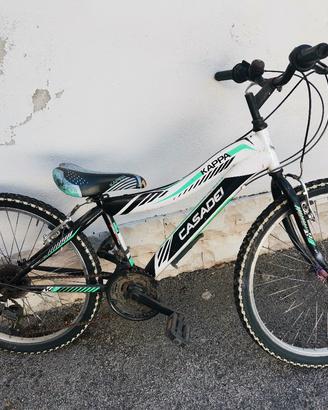 Mountain bike