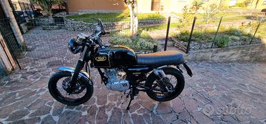 Mash Black Seven 125 - 2017