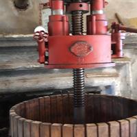 Torchio idraulico per uva