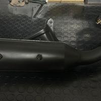 marmitta malossi lion