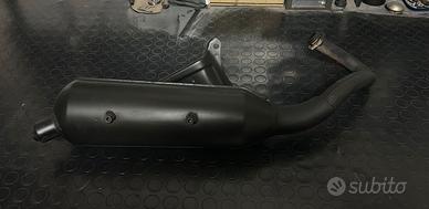 marmitta malossi lion