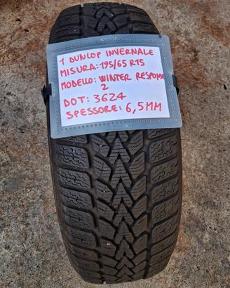 1956515 195/65R15 195/65 R15 DUNLOP INVERNALE